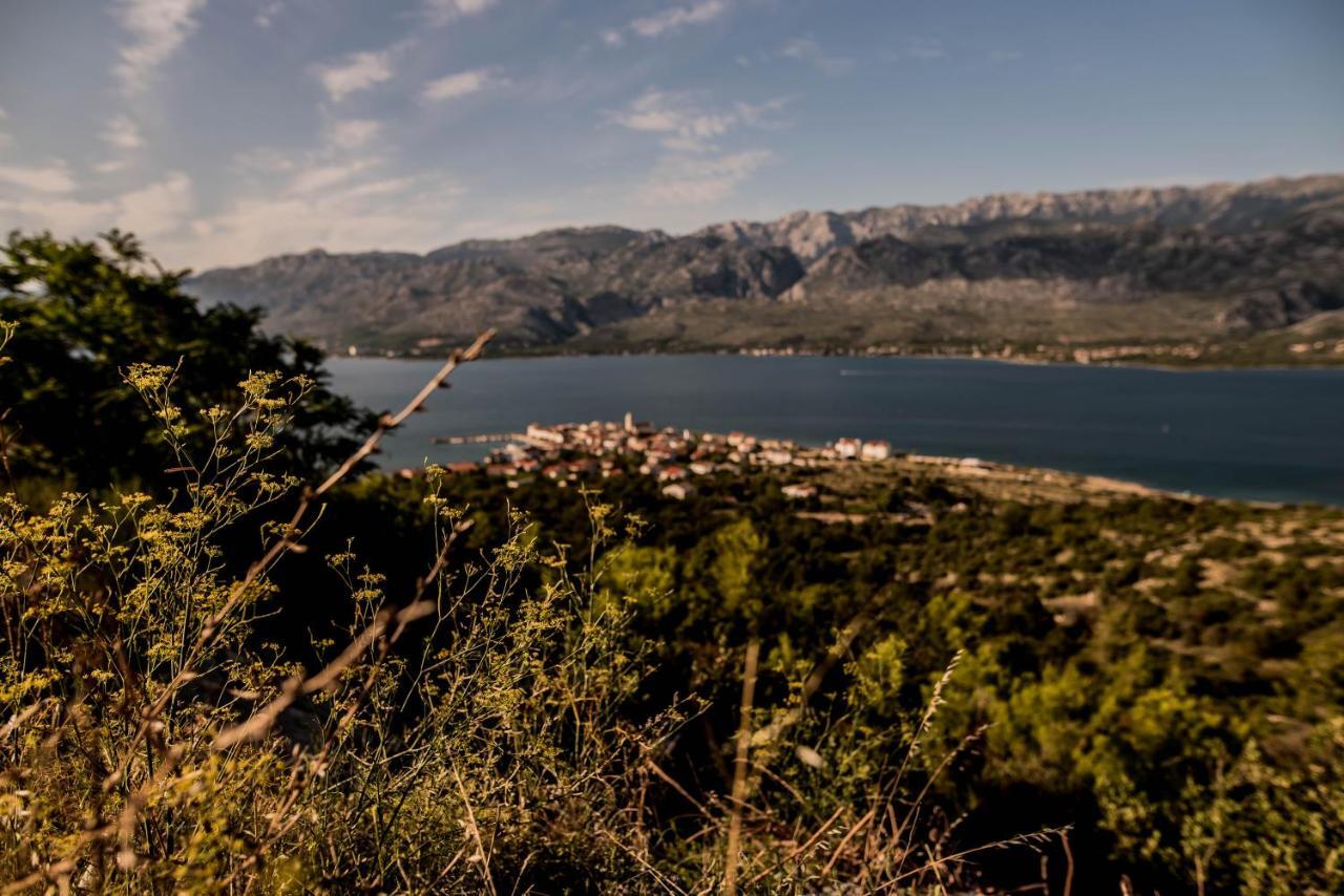 Вилла La Familia, Zadar, Виньерац Экстерьер фото